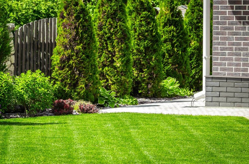 Landscaping and Lawn Care in kingwood